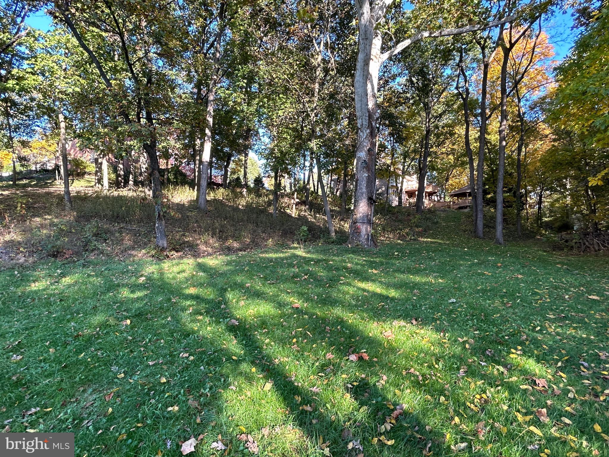 Shockey Cir