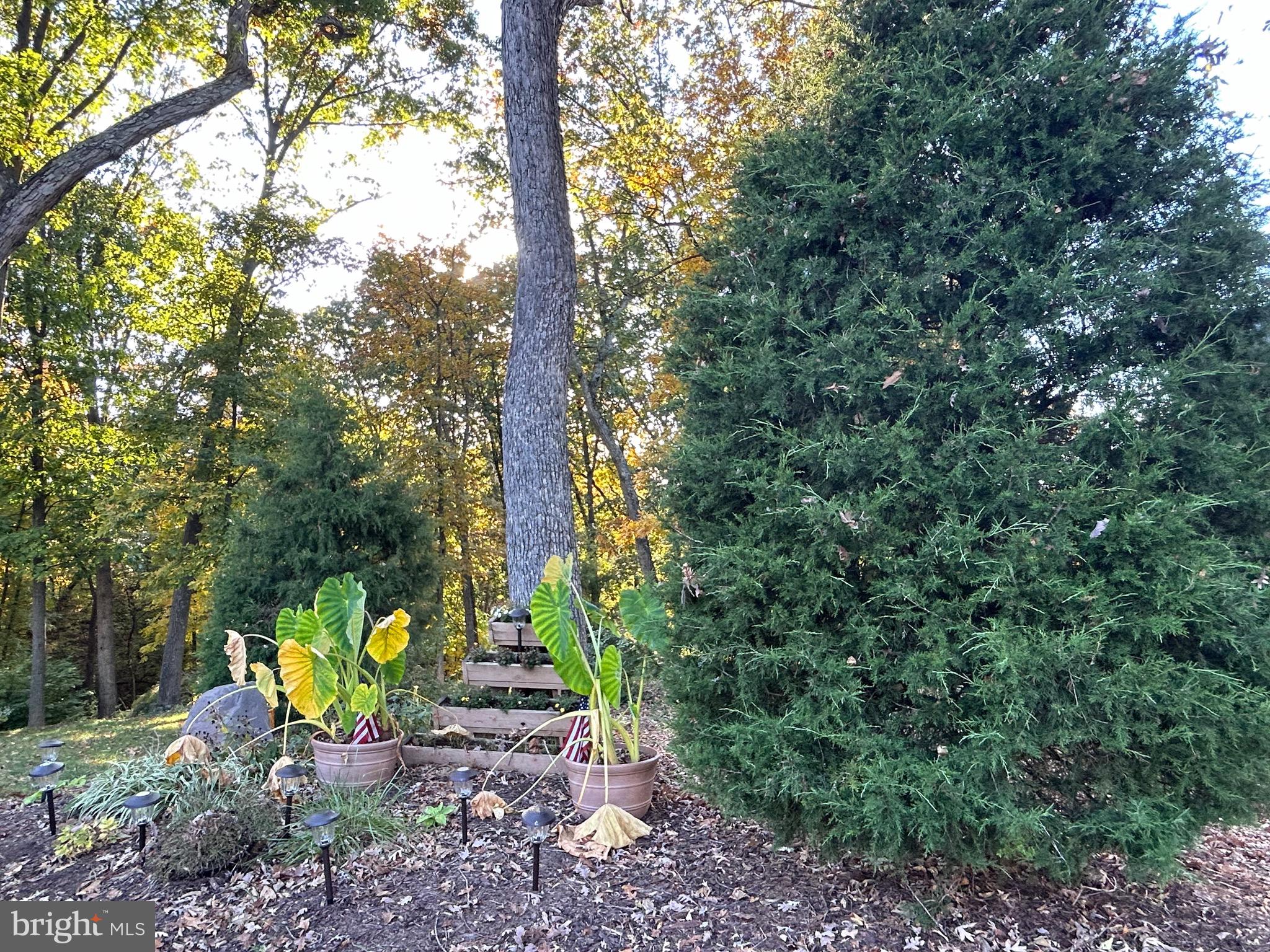 Shockey Cir