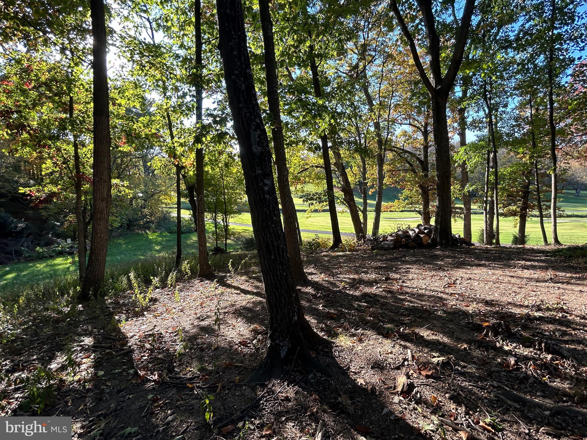Shockey Cir