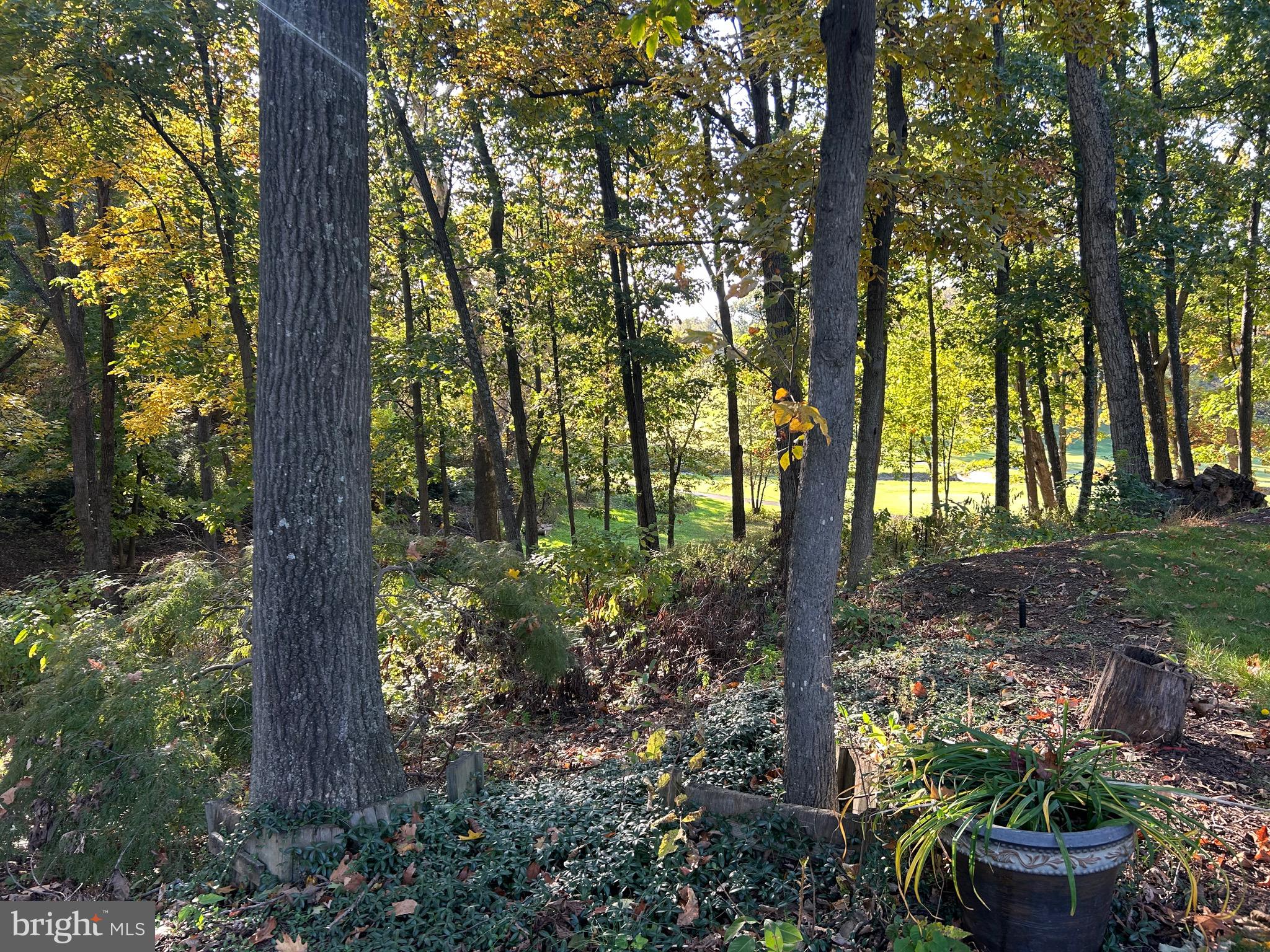 Shockey Cir
