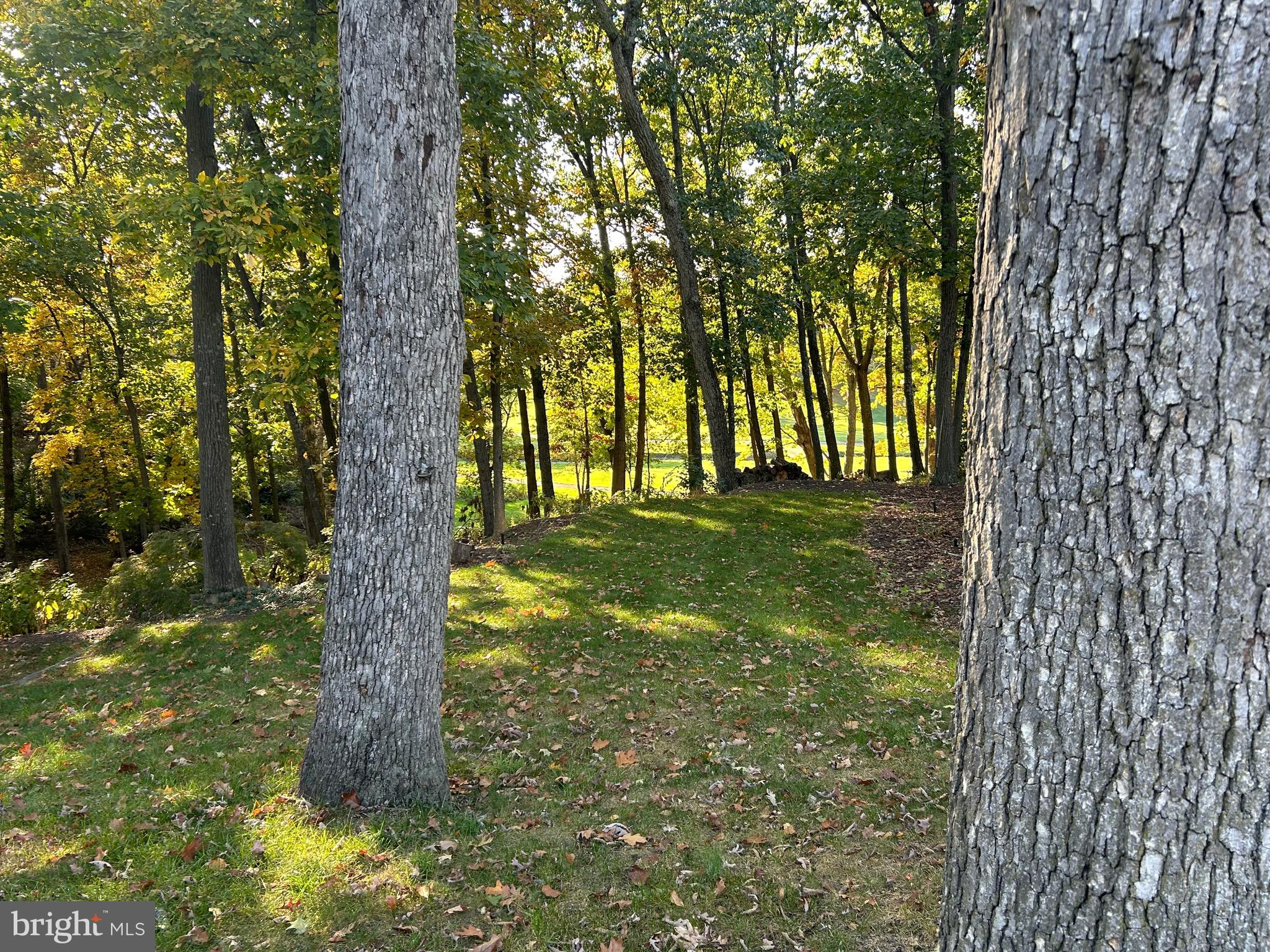 Shockey Cir
