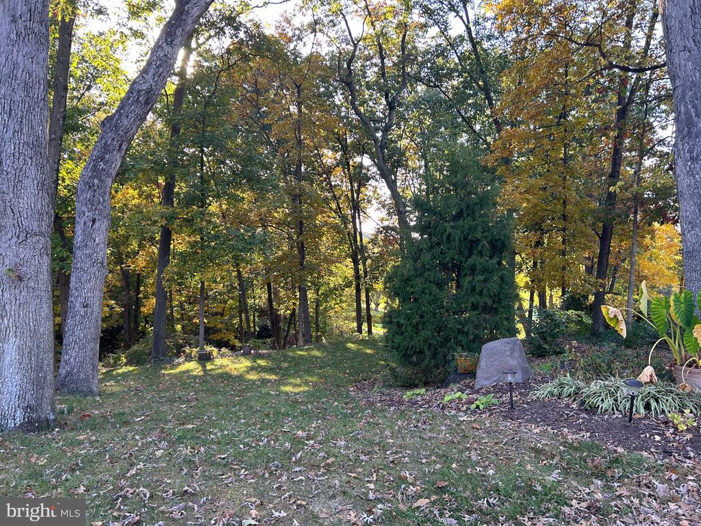 Shockey Cir