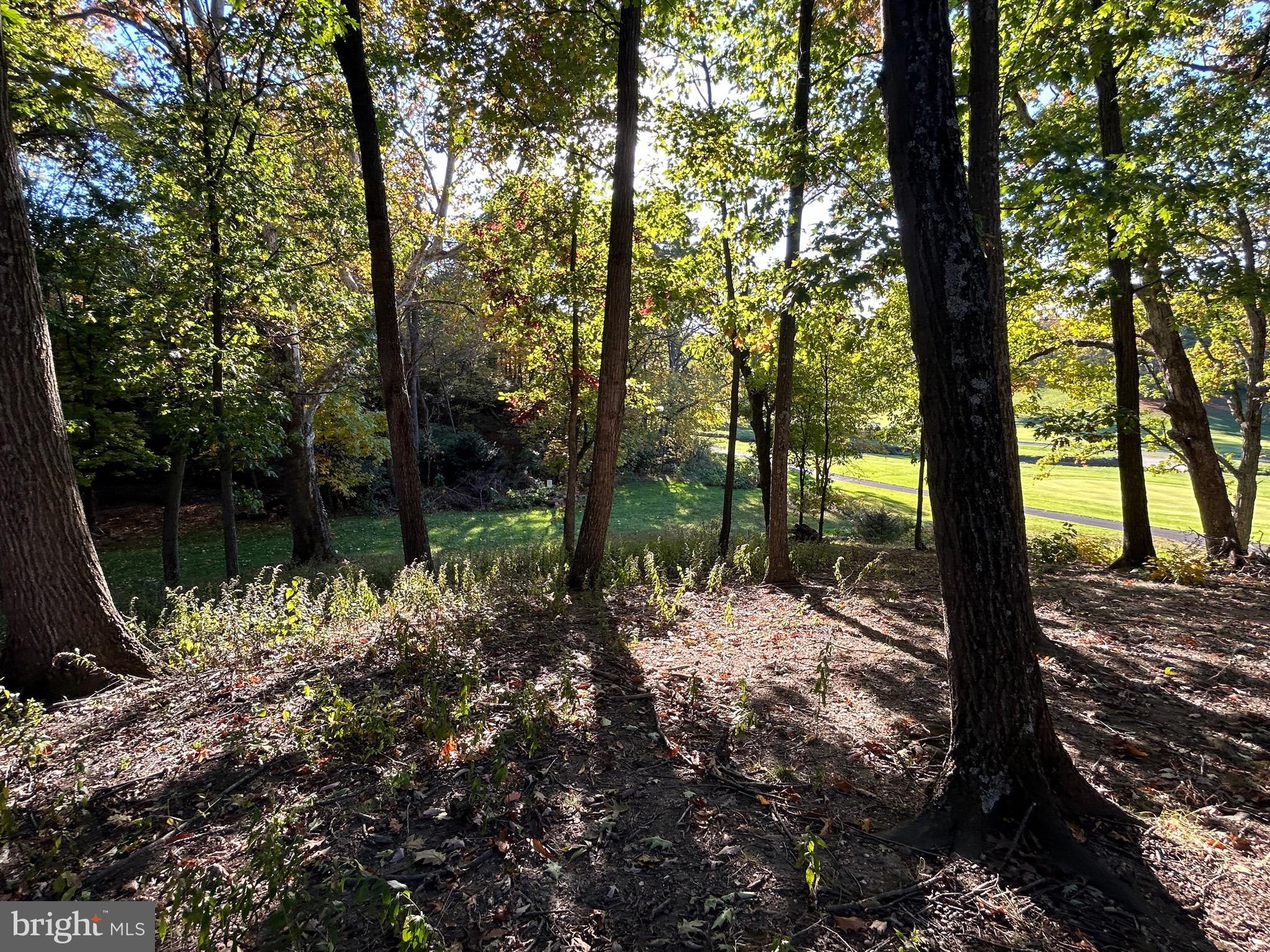 Shockey Cir