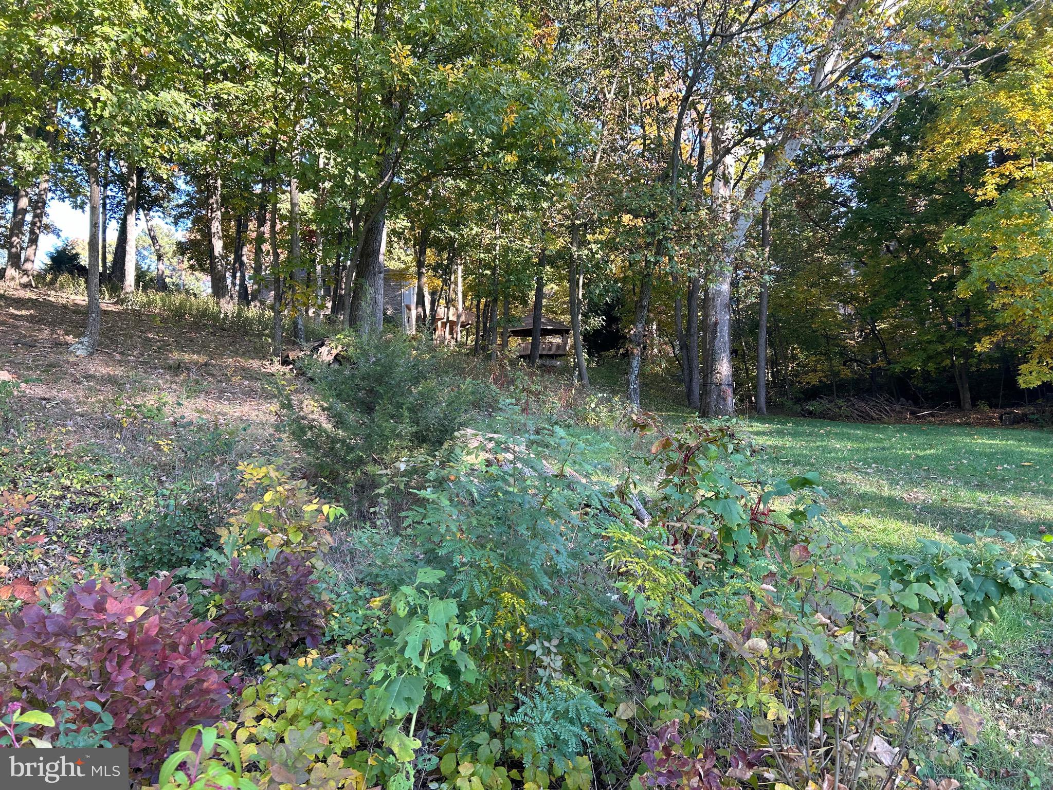 Shockey Cir