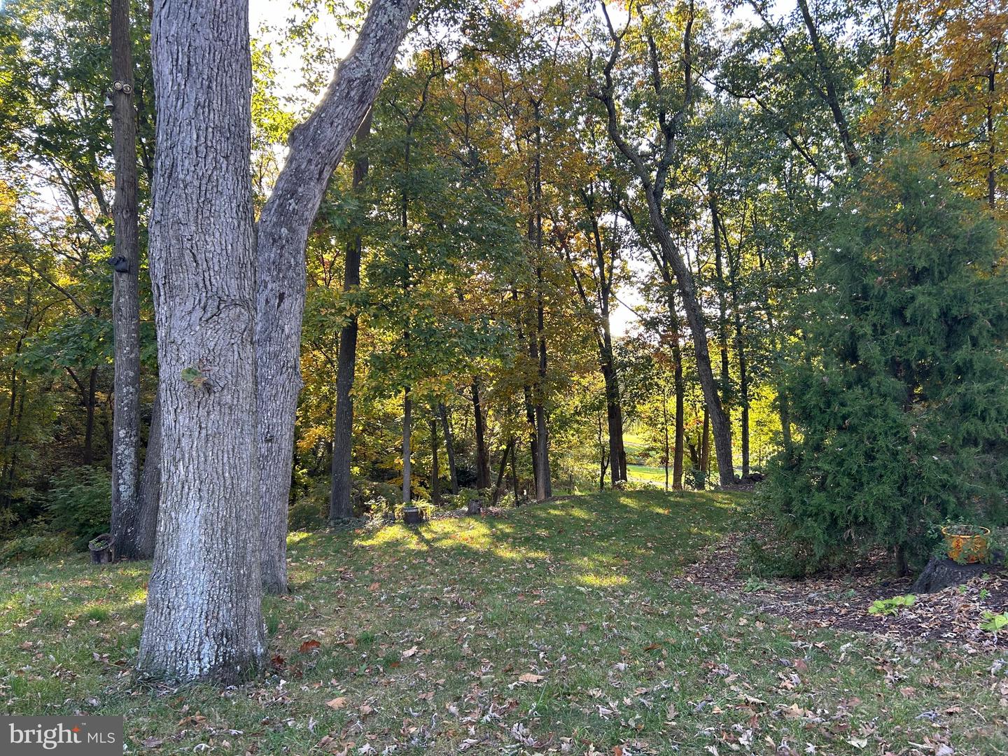 Shockey Cir