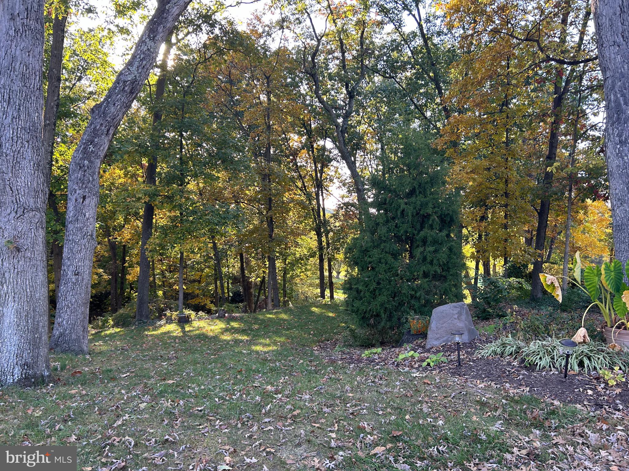 Shockey Cir