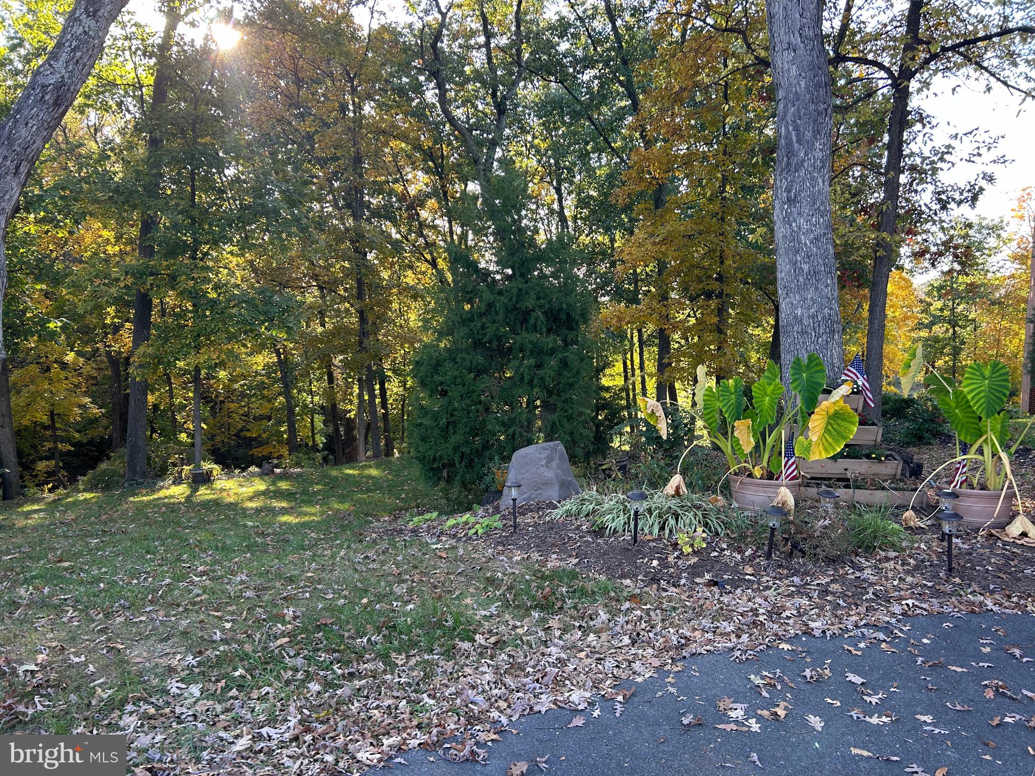 Shockey Cir