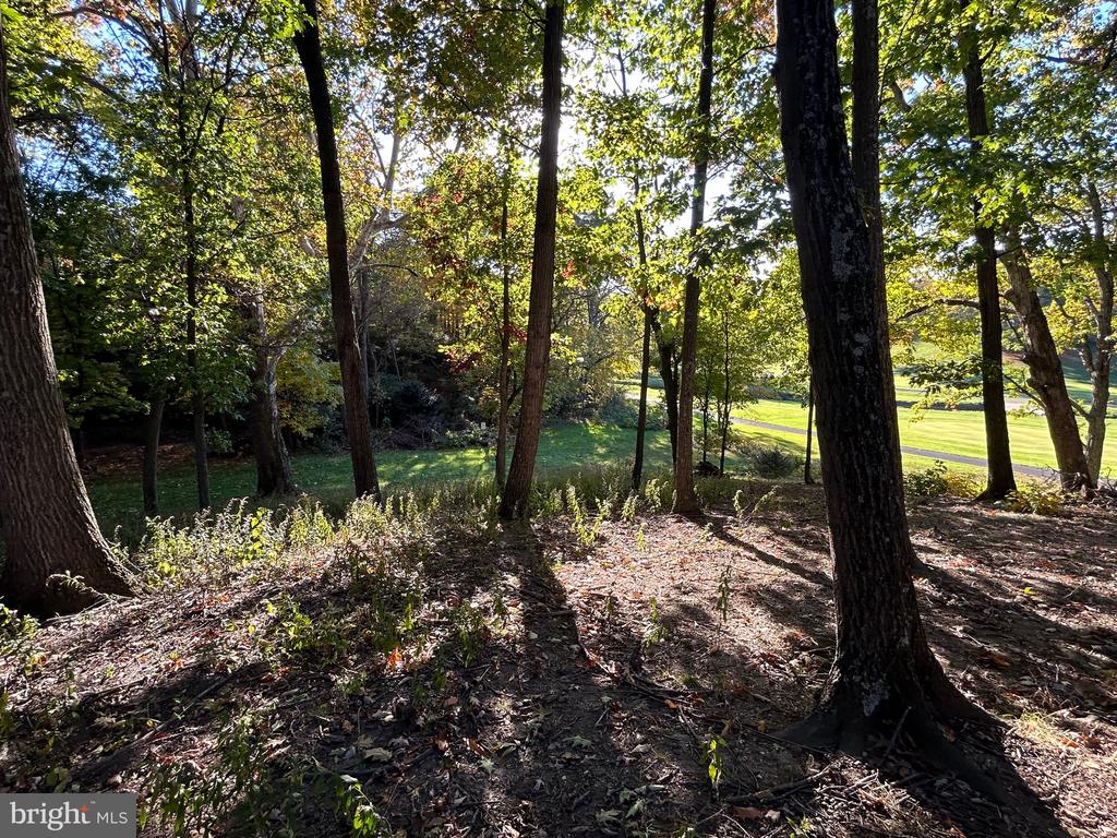 Shockey Cir