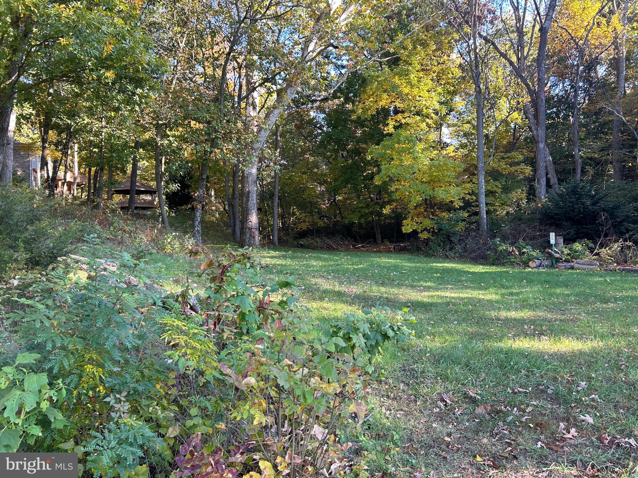 Shockey Cir