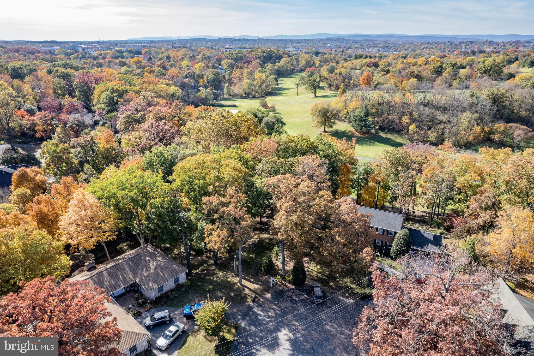 Shockey Cir