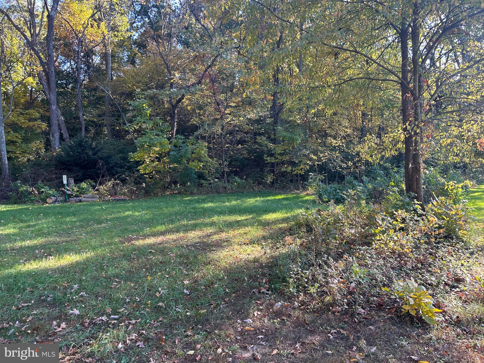 Shockey Cir