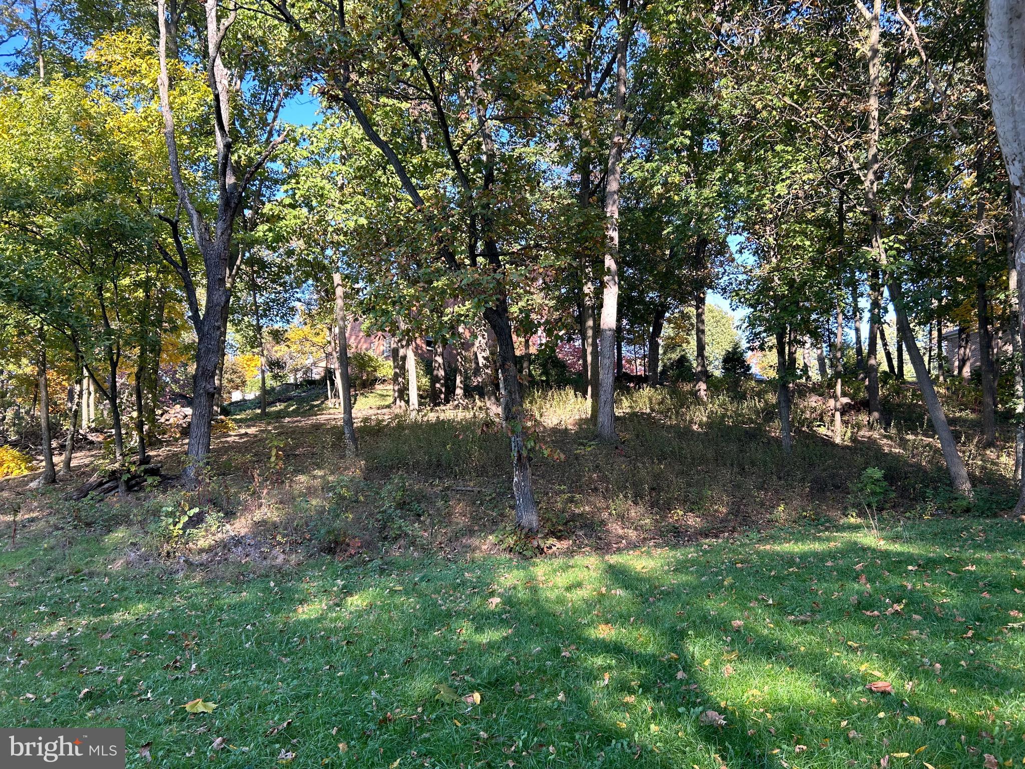 Shockey Cir
