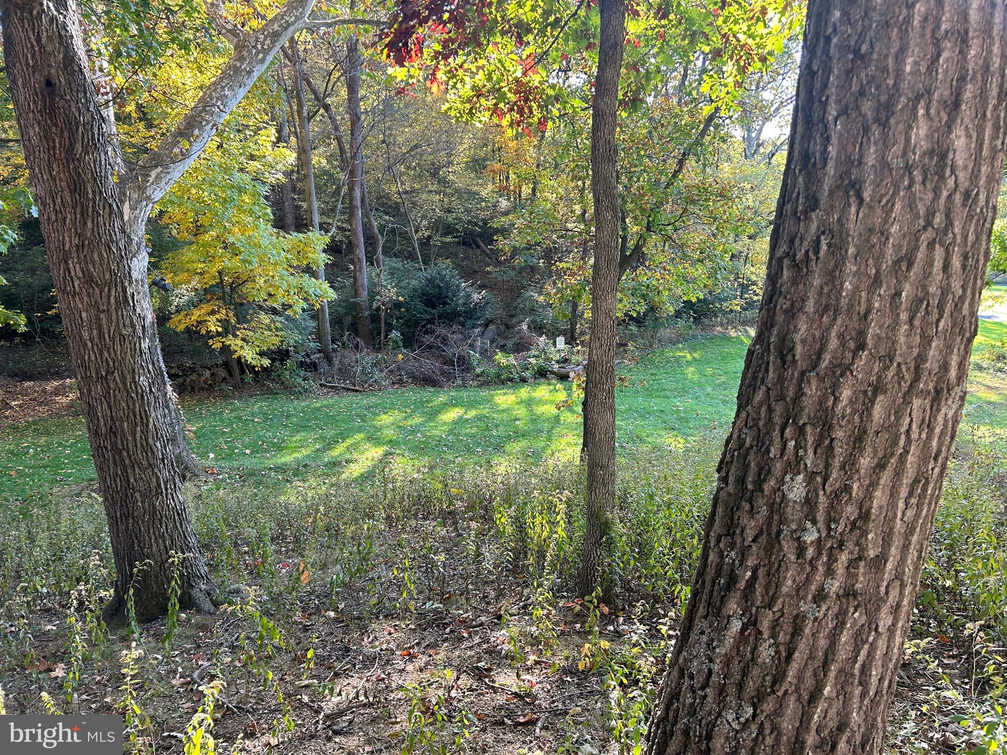 Shockey Cir