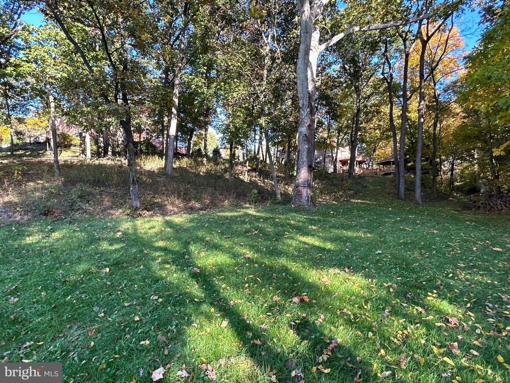 Shockey Cir