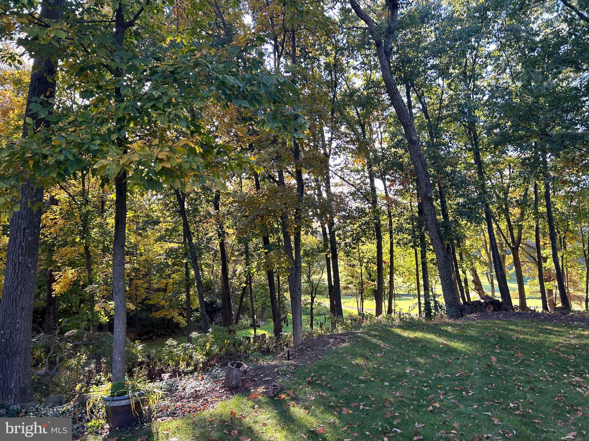 Shockey Cir