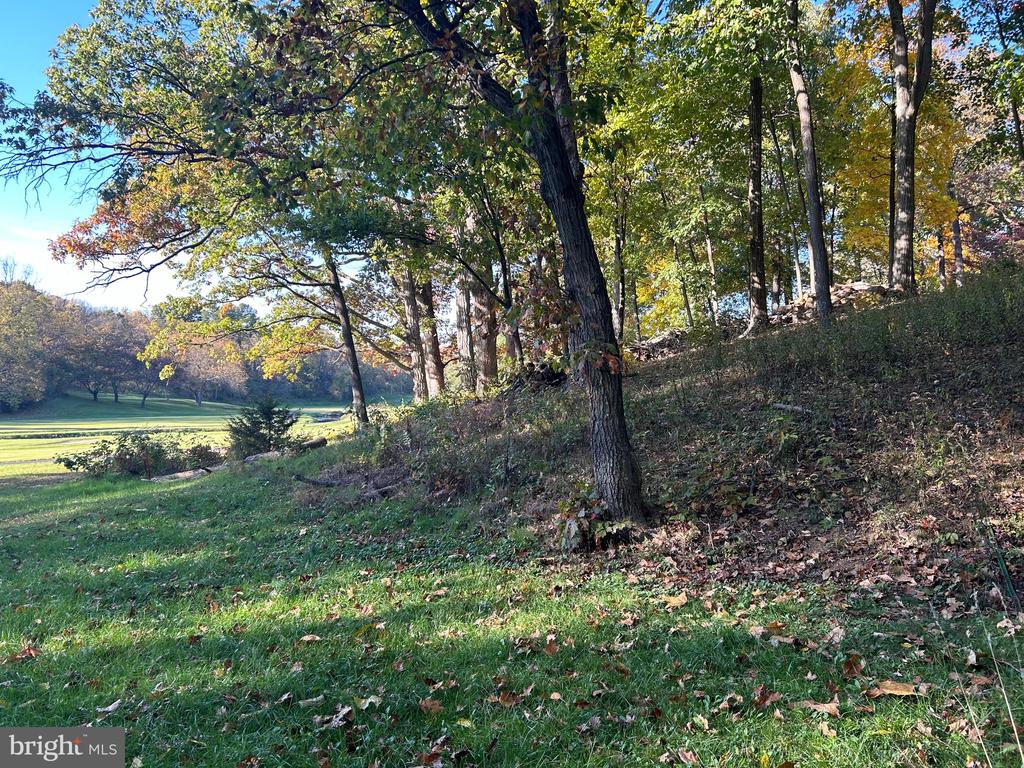 Shockey Cir