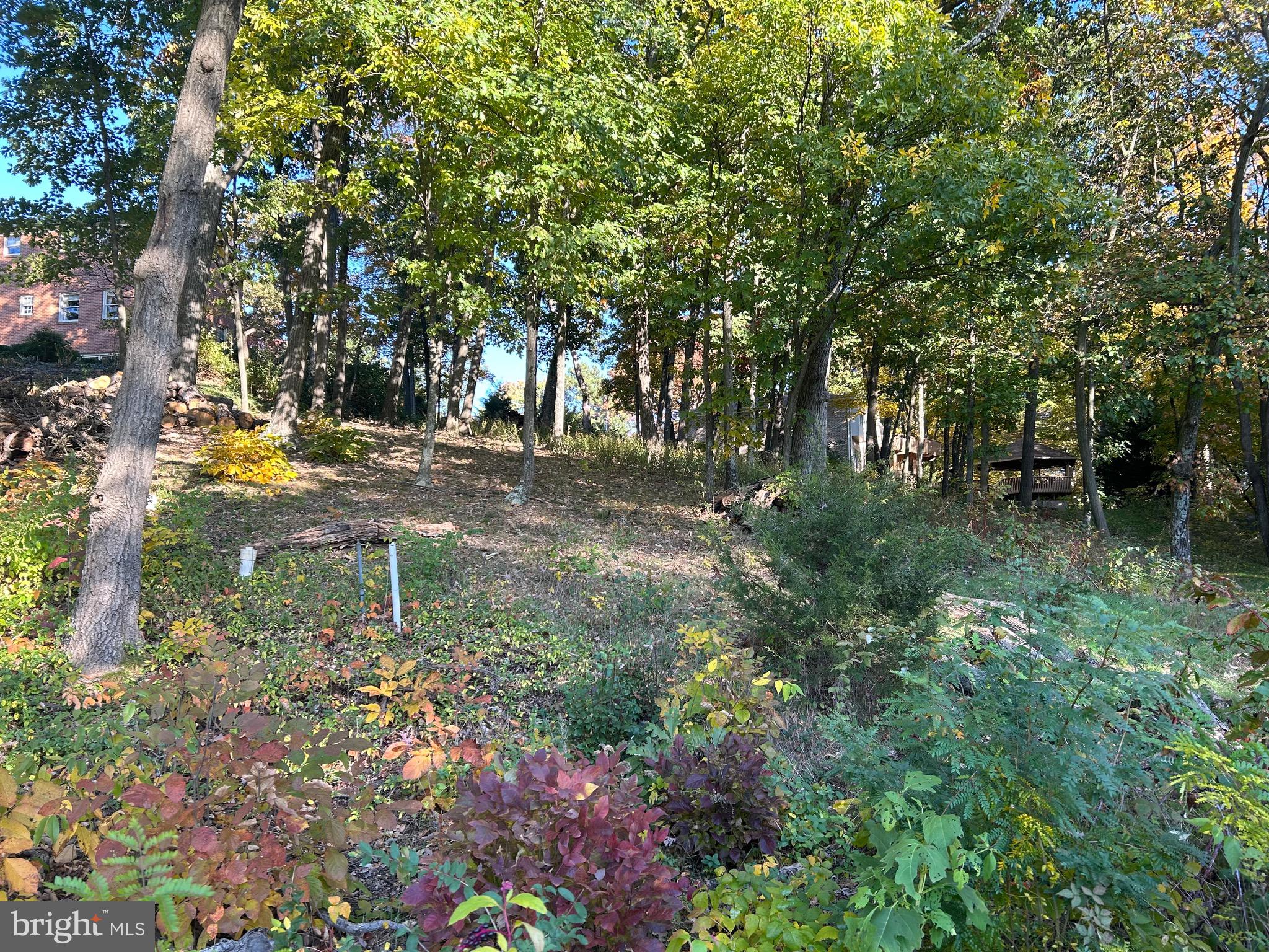 Shockey Cir