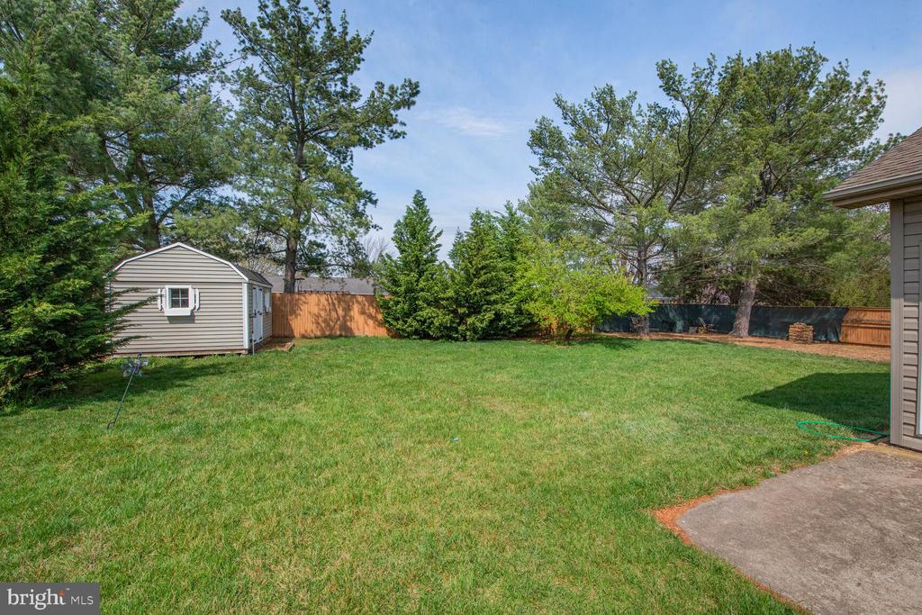 203 Brandylion Dr