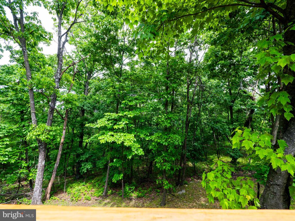 1502 TOMAHAWK TRAIL