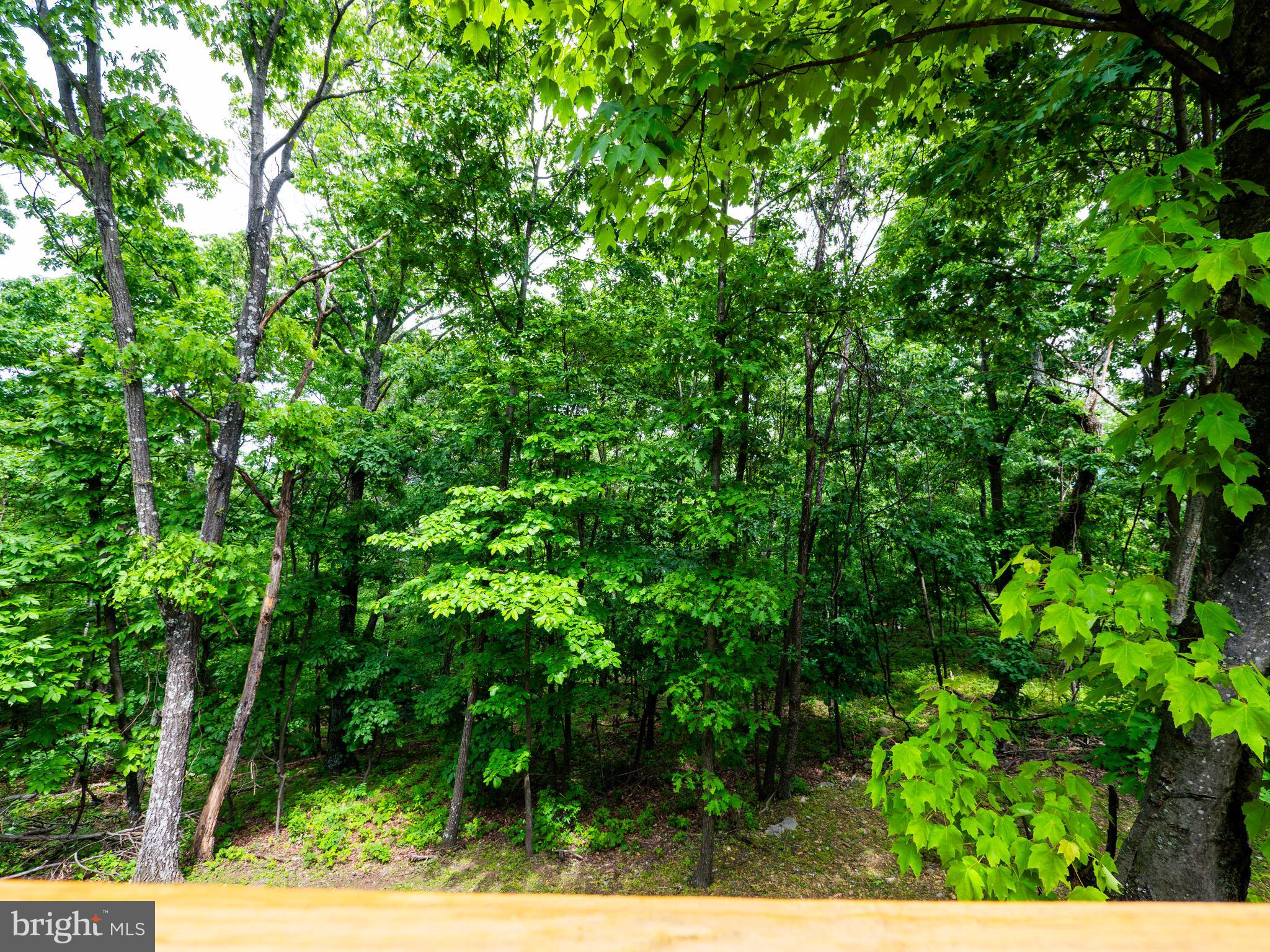 1502 TOMAHAWK TRAIL