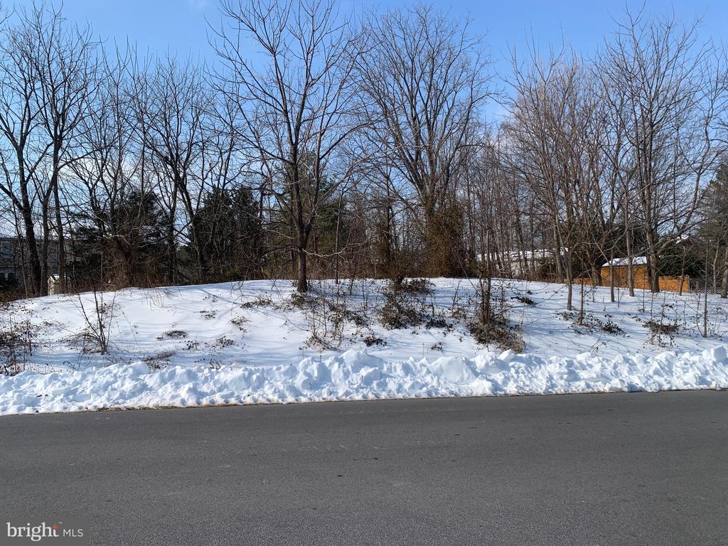 119 BUCHANNAN DRIVE
