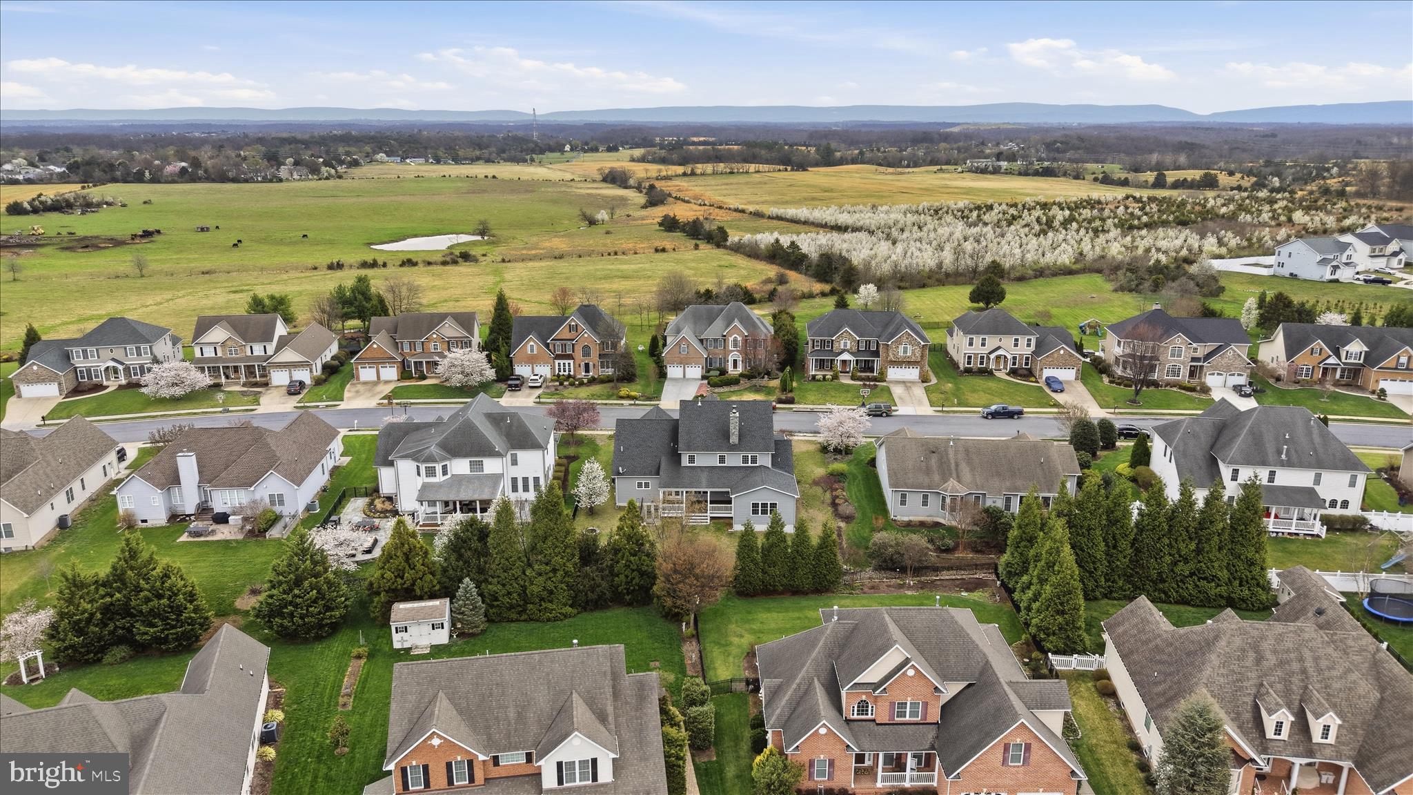 226 SUMMERFIELD DRIVE