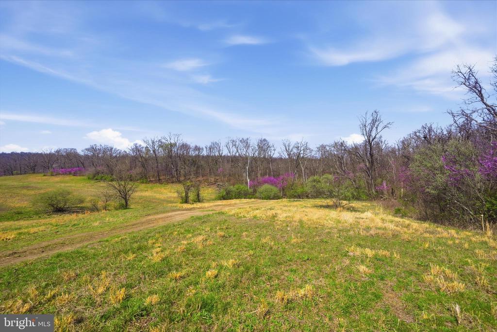 1112 STONY HILL