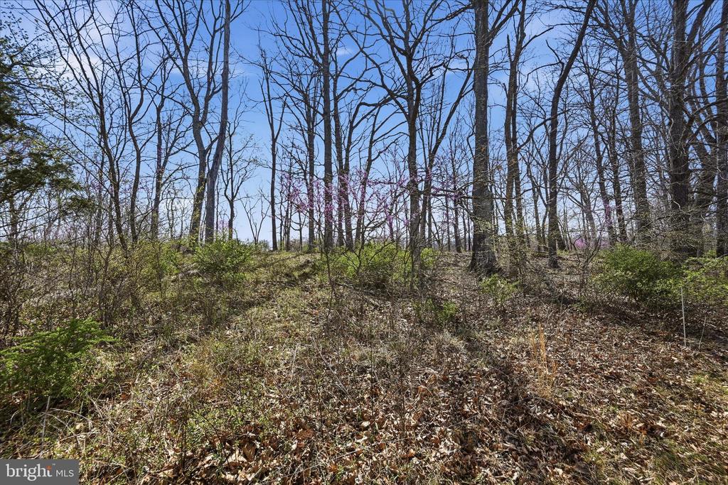 950 STONY HILL ROAD