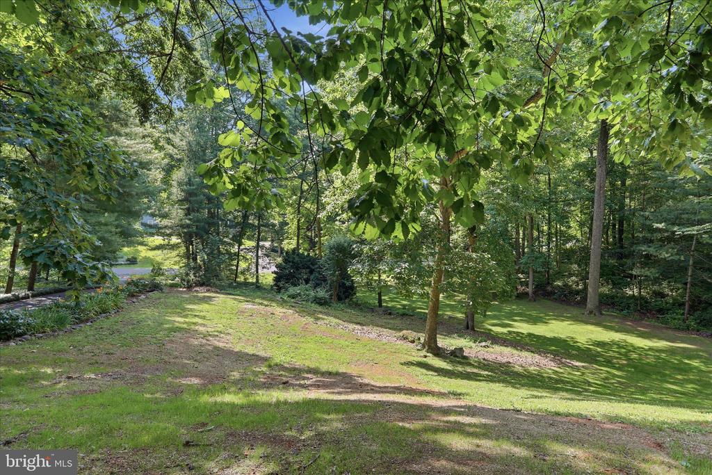 137 OLD FOREST CIRCLE