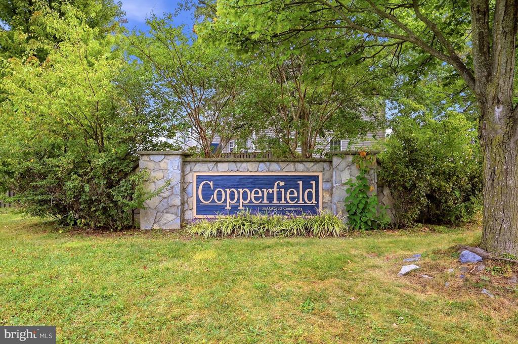 323 COPPERFIELD LANE