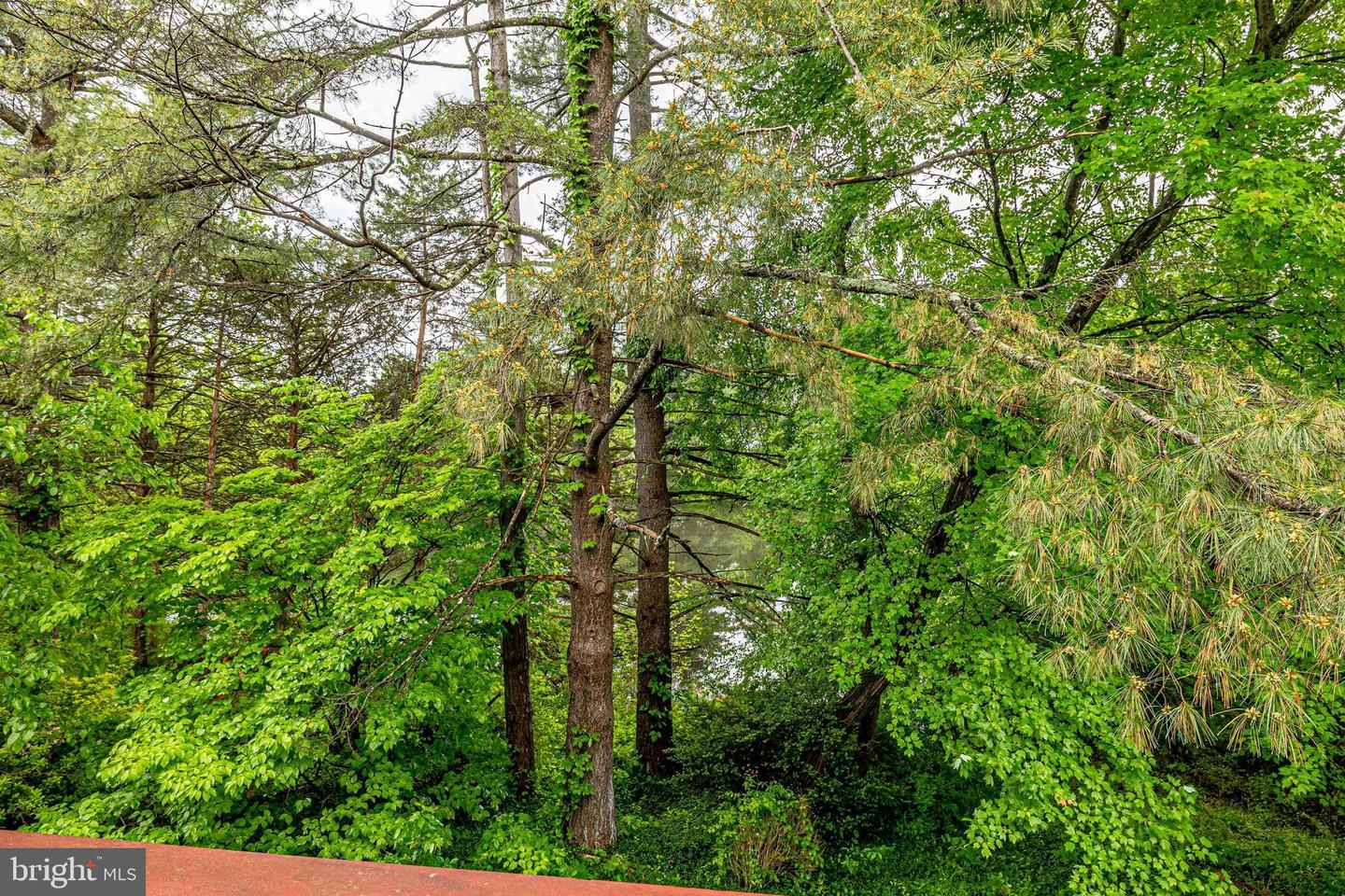 5668 Thorndyke COURT
