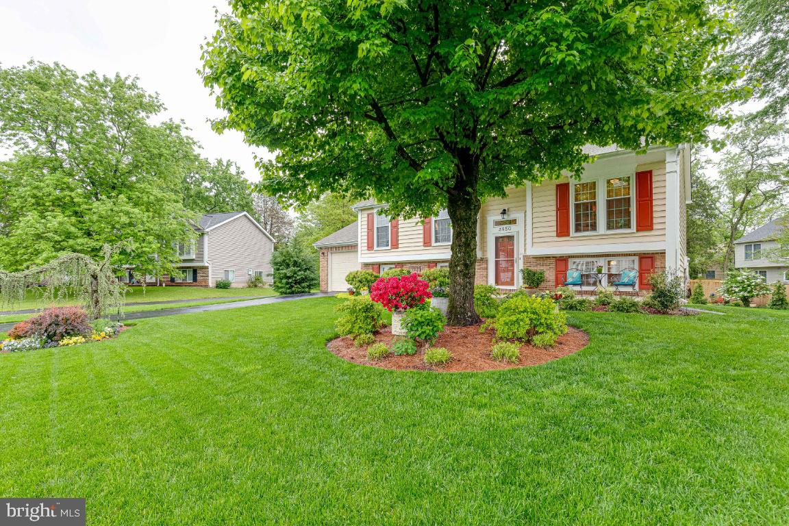 3850 Beech Down DRIVE