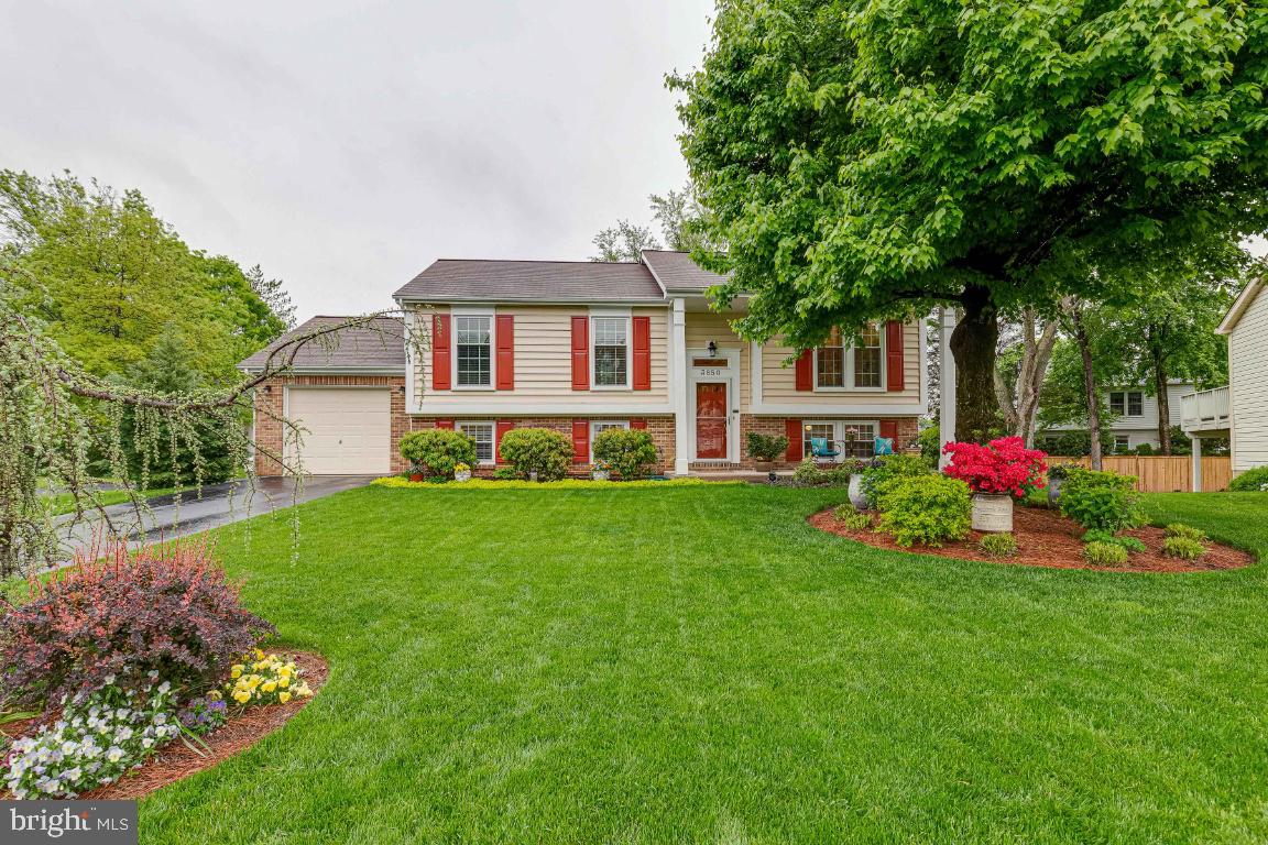 3850 Beech Down DRIVE