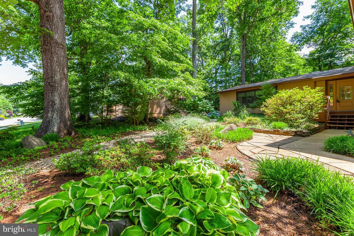 5403 Sideburn ROAD