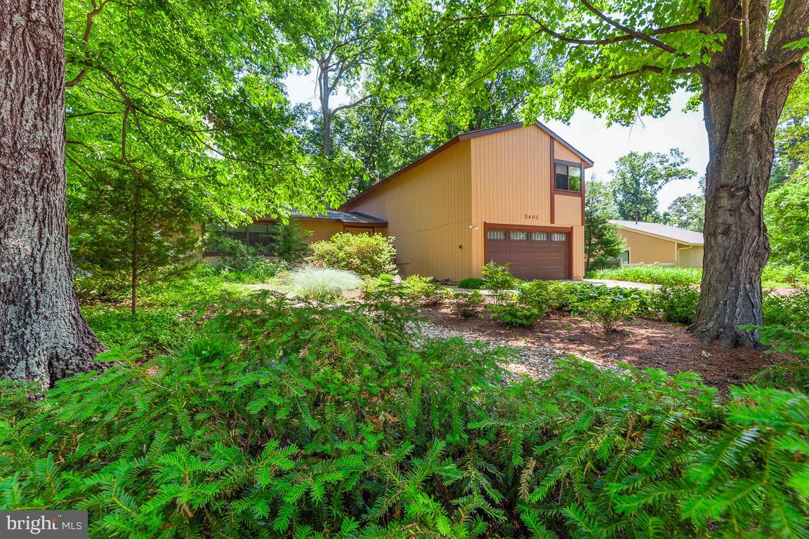 5403 Sideburn ROAD