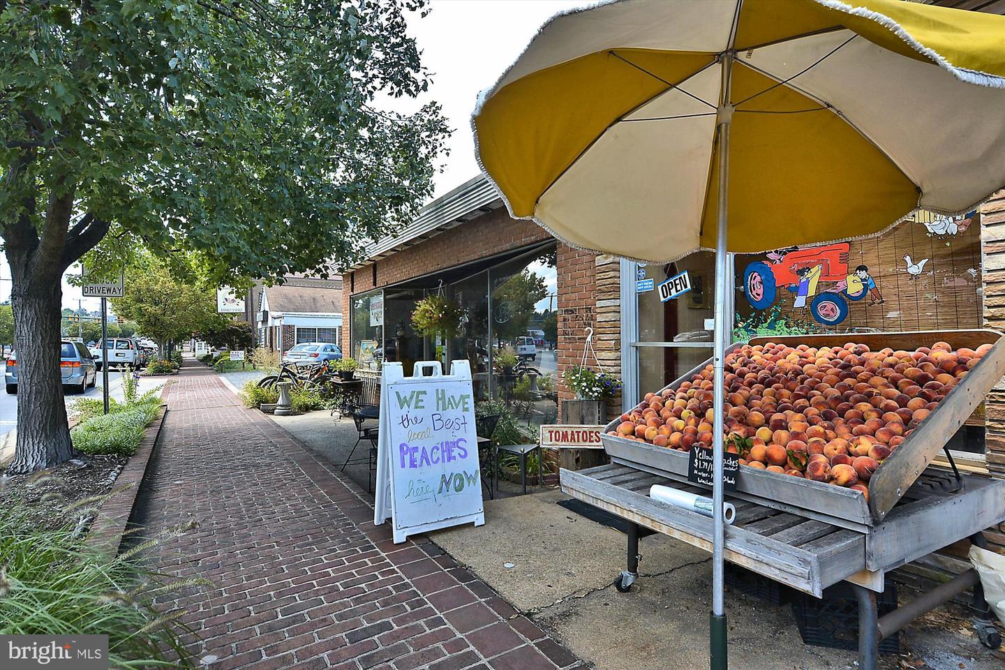 10100 Oakton Terrace ROAD Unit: 10100