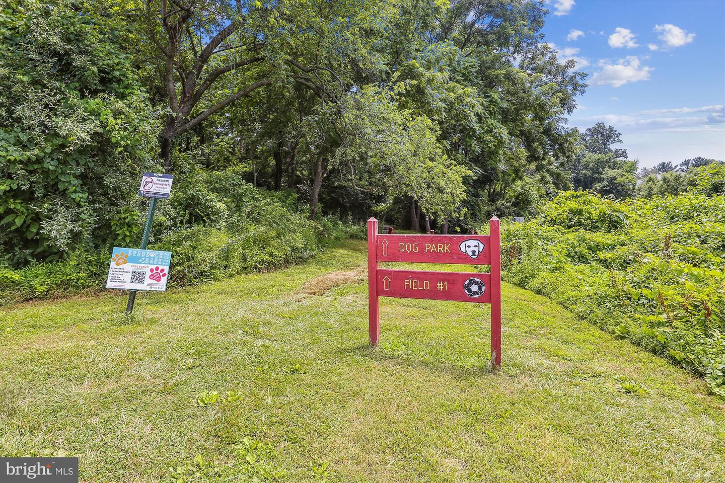 10100 Oakton Terrace ROAD Unit: 10100