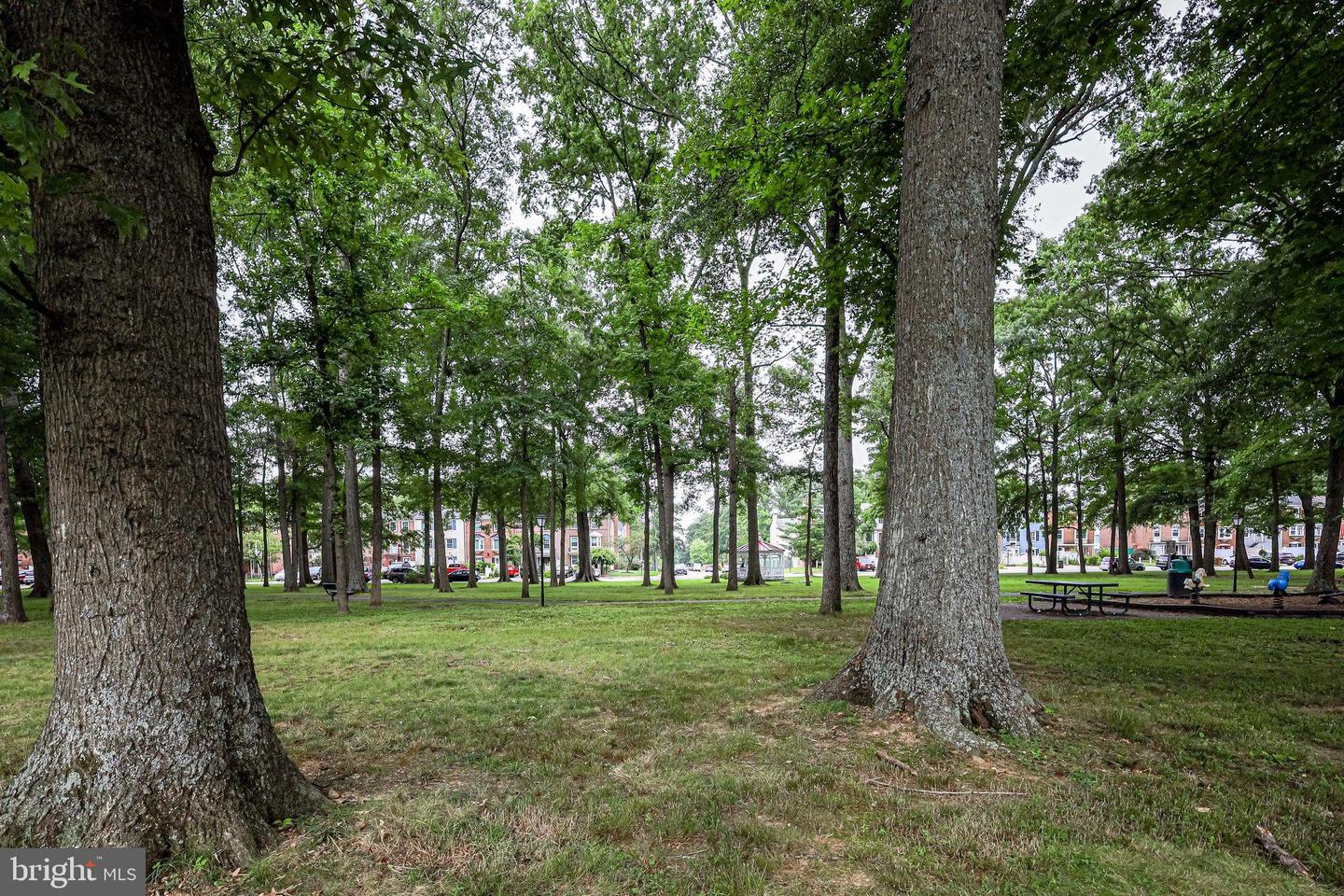 7903 Central Park CIRCLE