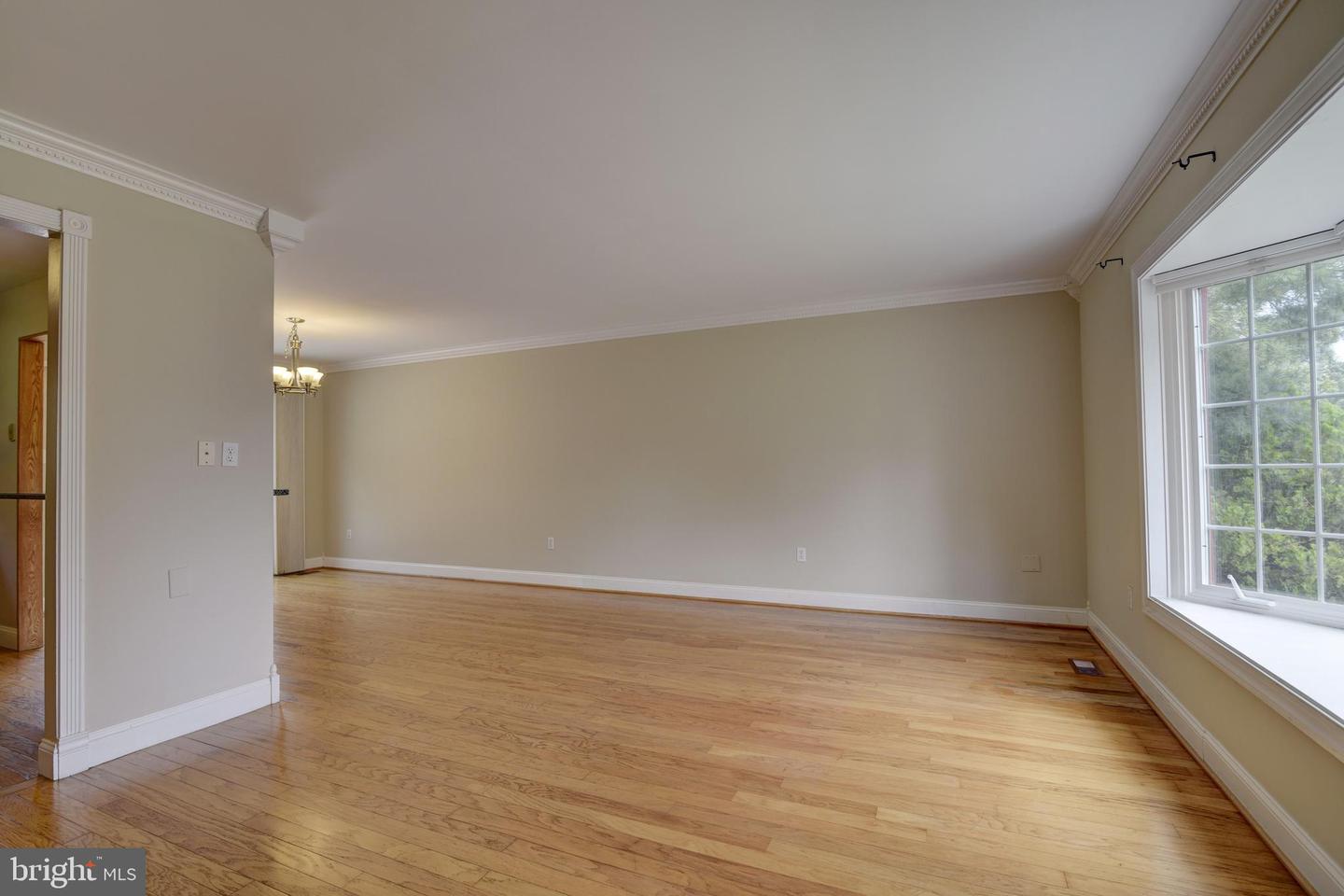 12816 Fantasia DRIVE