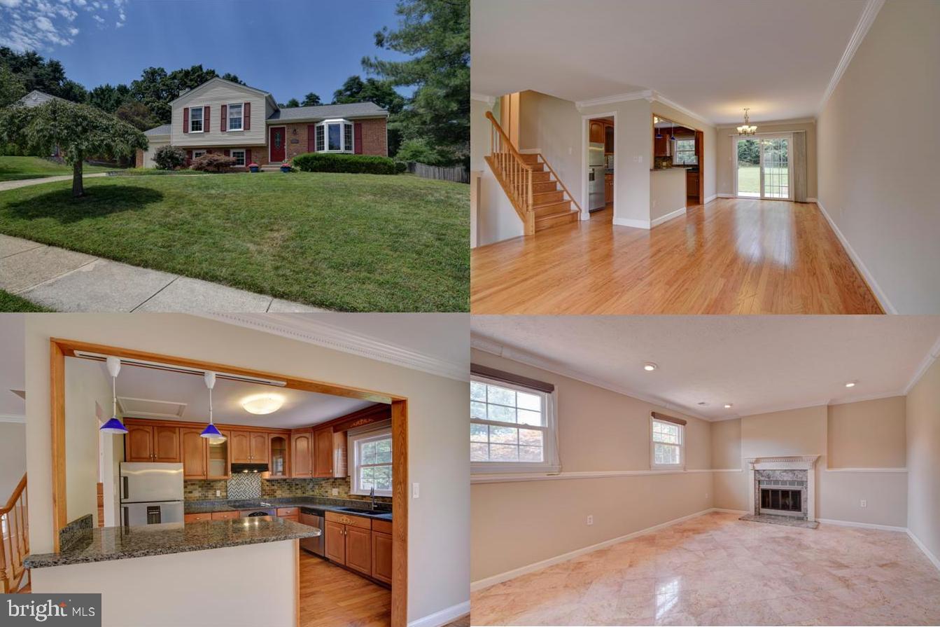 12816 Fantasia DRIVE