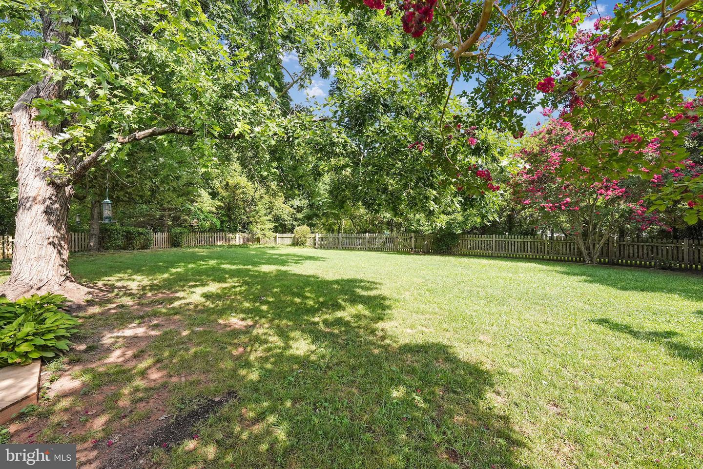 13504 Oak Ivy LANE