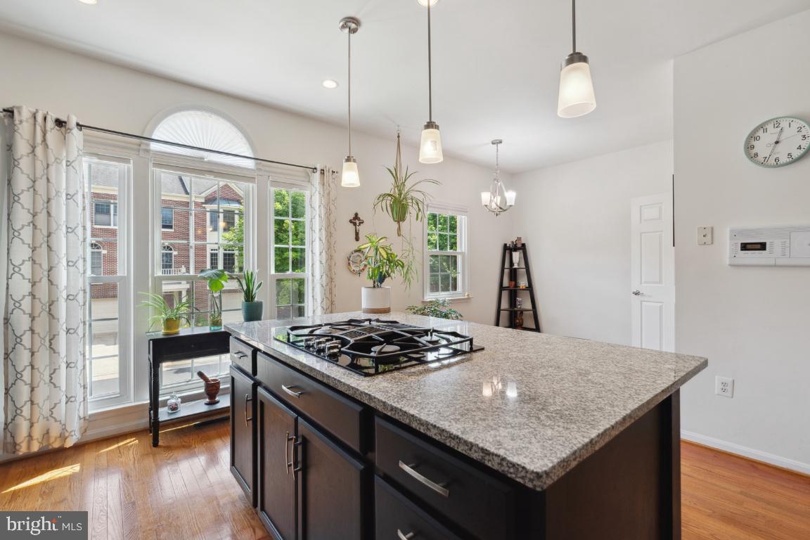 4046 Heatherstone COURT