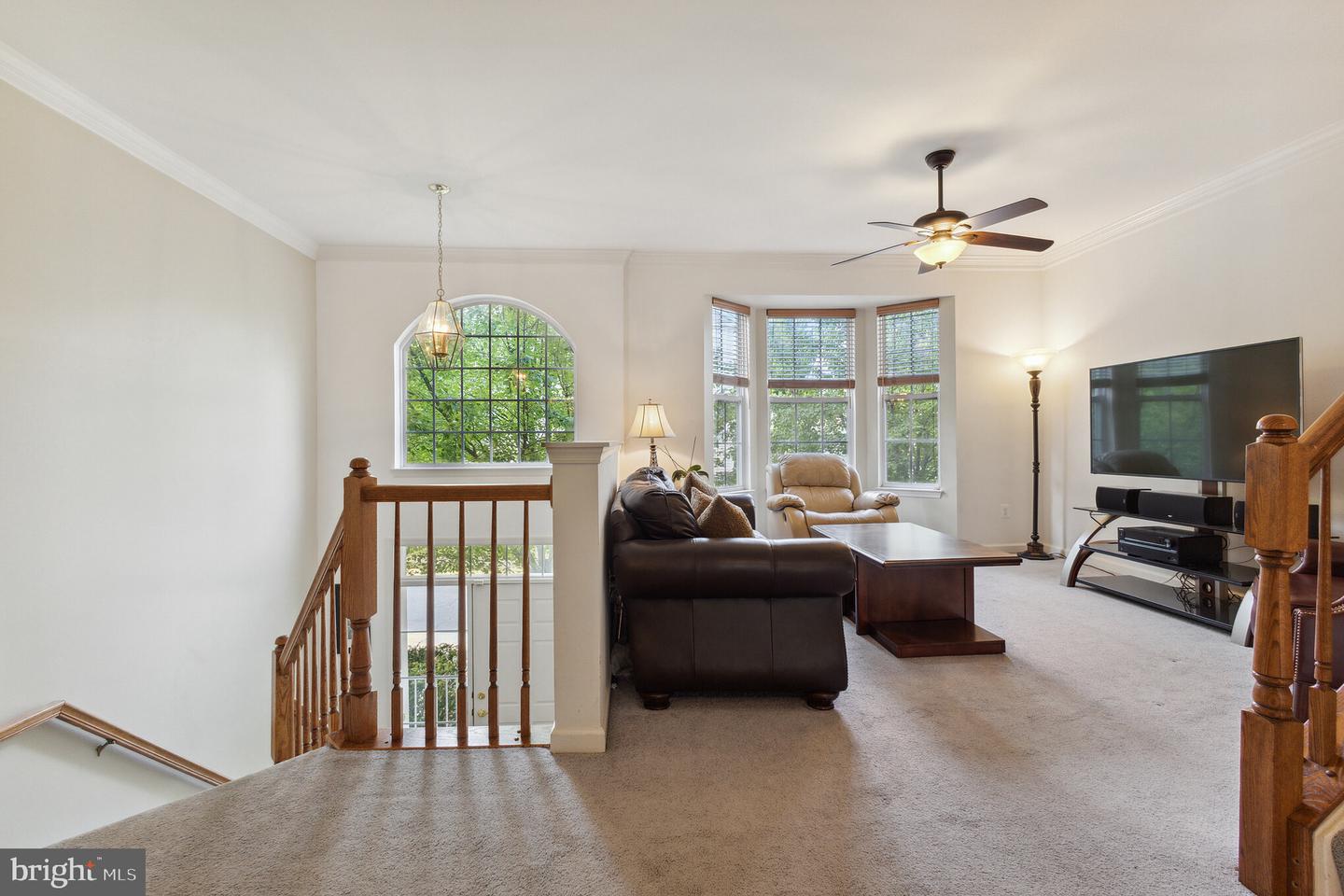 11422 Tiger Lily LANE