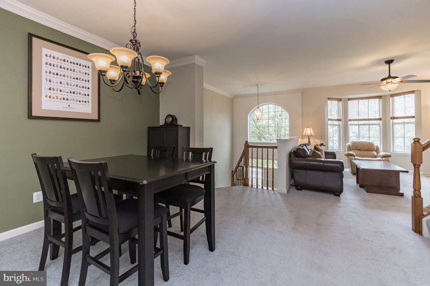 11422 Tiger Lily LANE