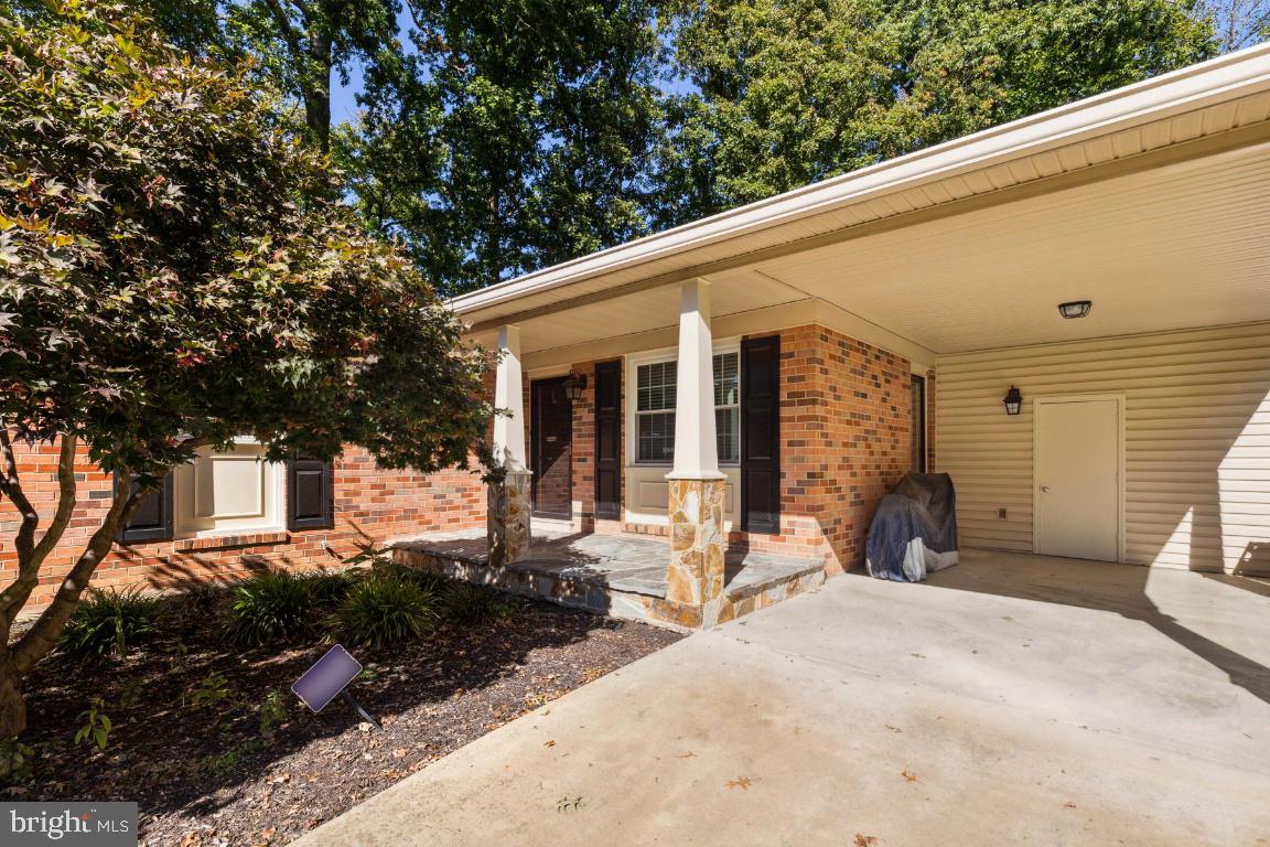 9204 Setter PLACE