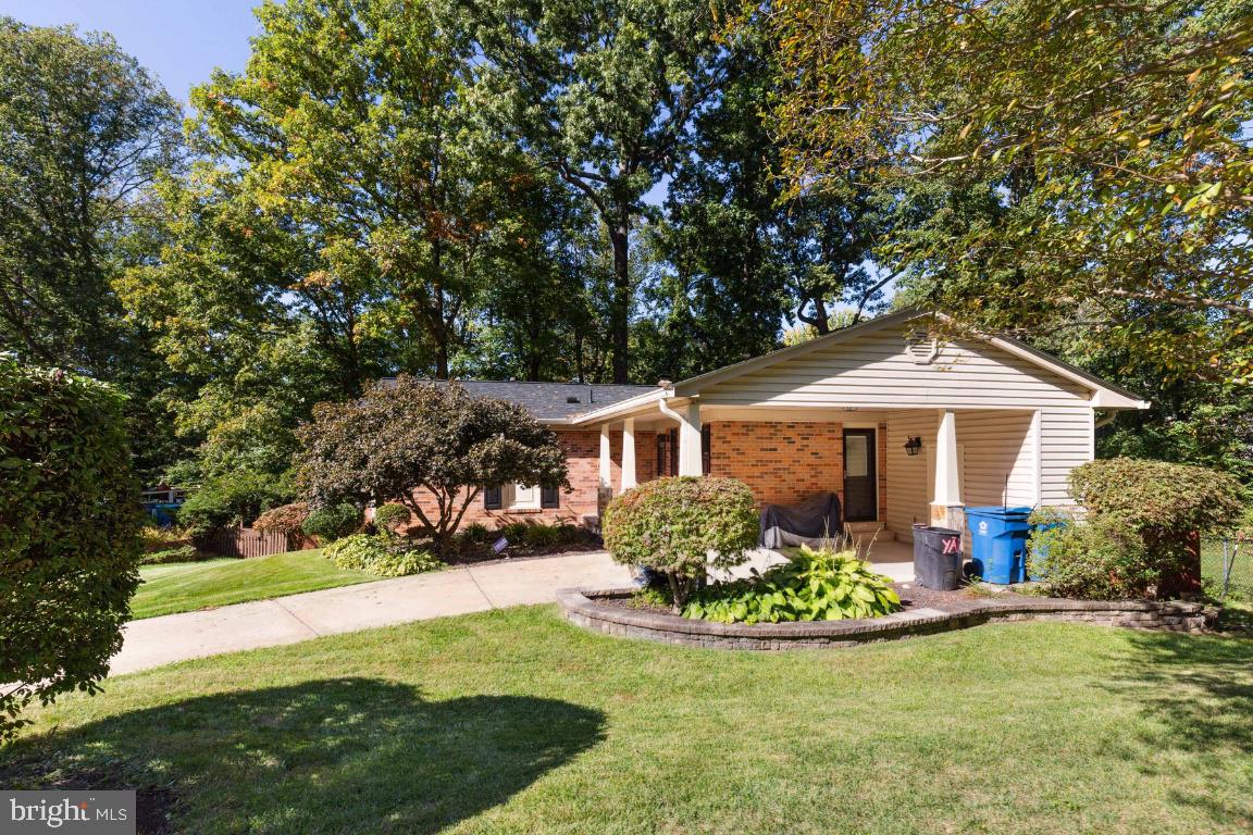 9204 Setter PLACE
