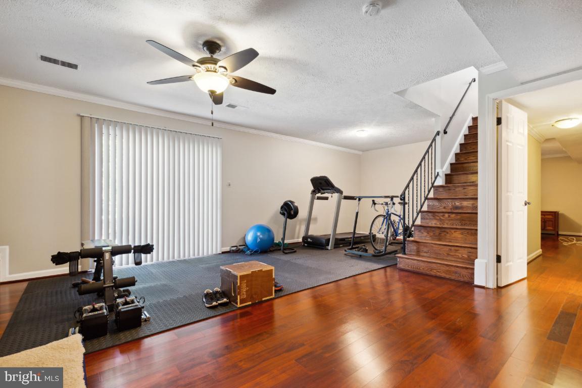 9204 Setter PLACE