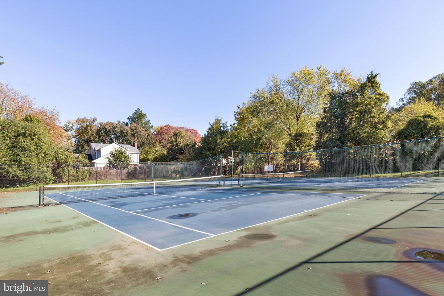 8425 Sulky COURT