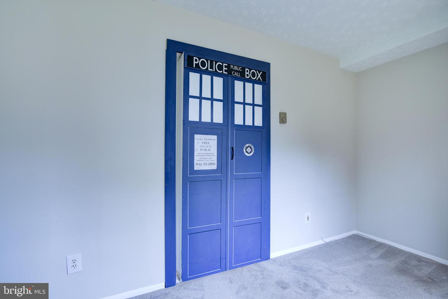 1706 Fantasia CIRCLE