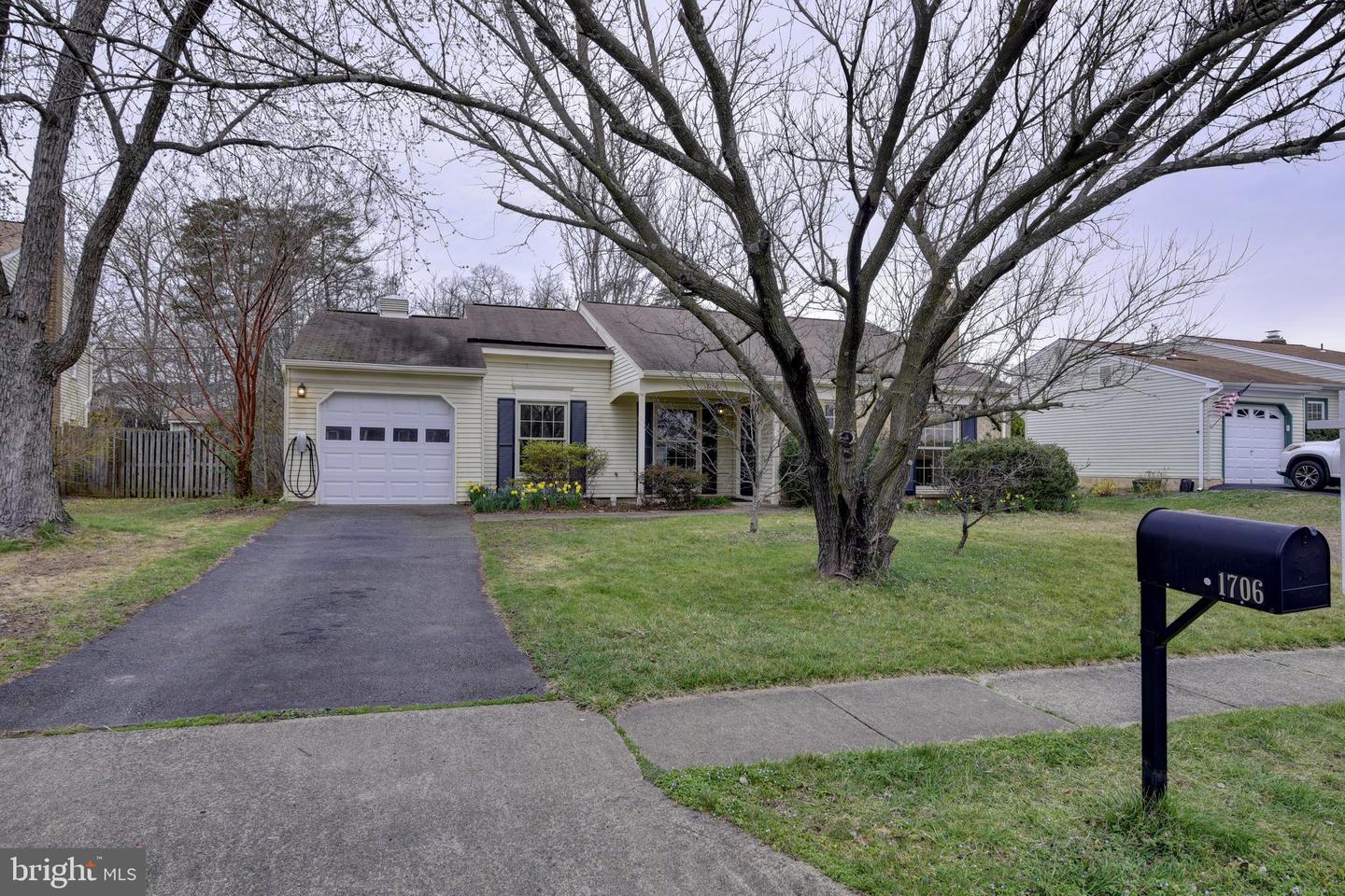 1706 Fantasia CIRCLE